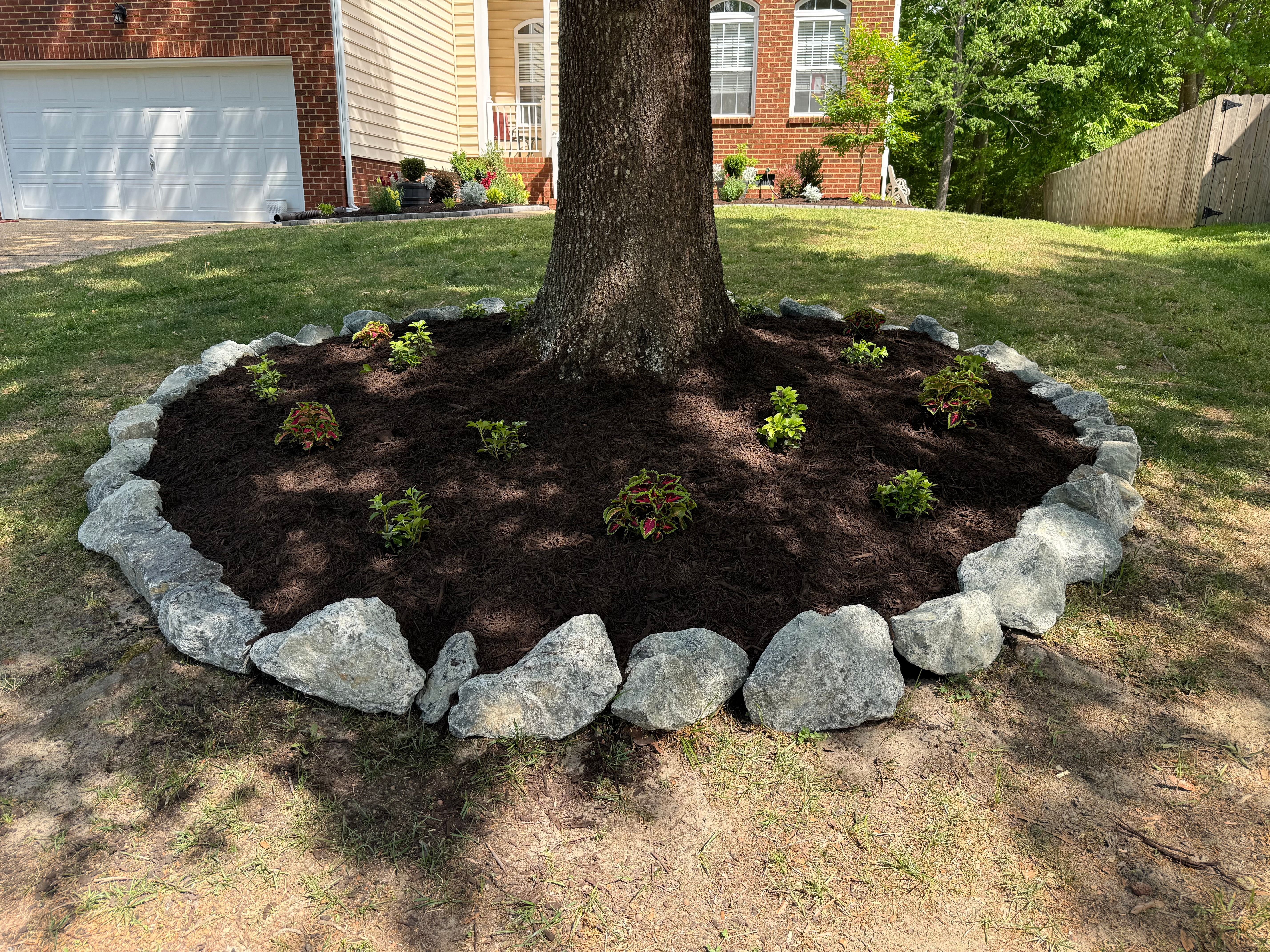 Andrea and Scott's front tree